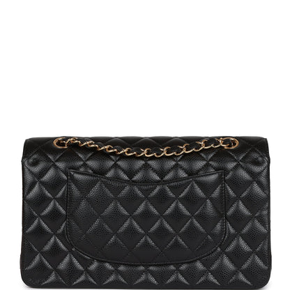 CC Medium Classic Double Flap Bag Black Caviar Gold Hardware（15.5×25.5×6.5cm）