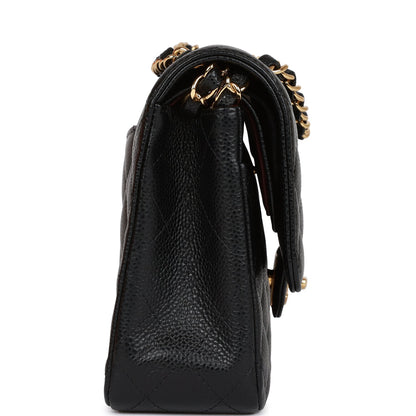 CC Medium Classic Double Flap Bag Black Caviar Gold Hardware（15.5×25.5×6.5cm）