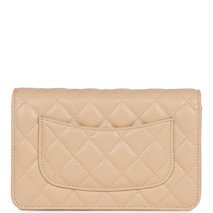 CC Women 's Bags（20x12x5cm）